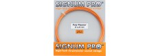 SIGNUM PRO